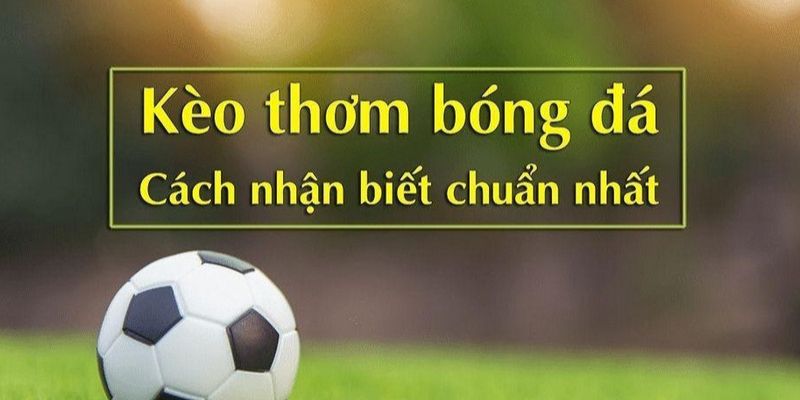 Yếu tố quan trọng giúp dự đoán kèo thơm chuẩn xác